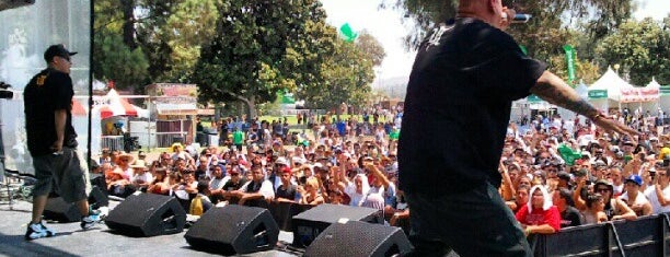 Rock The Bells is one of Best Music Festivals in Southern California.