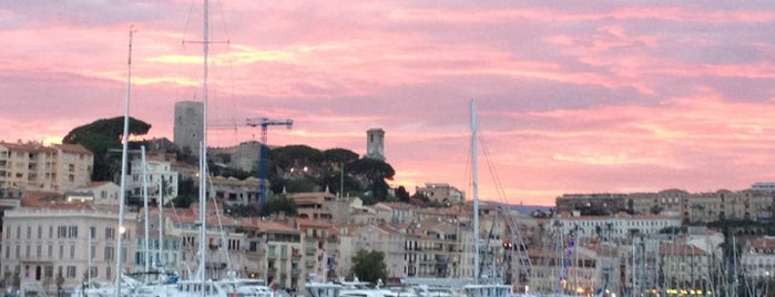 Porto di Cannes is one of MY FAVORITES.