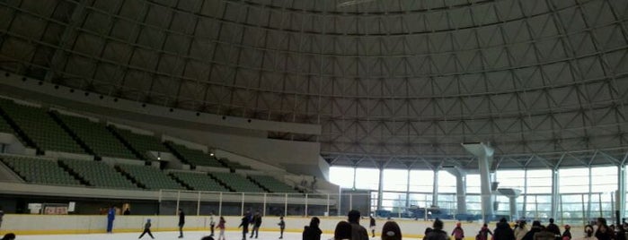 東和薬品RACTABドーム (大阪府立門真スポーツセンター) is one of スケートリンク.