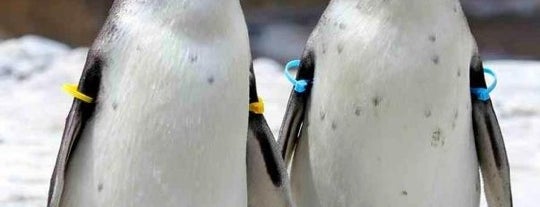 ウッドランドパーク動物園 is one of Seattle.