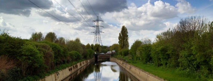 Waterworks Nature Reserve is one of London - Walthamstow & LBWF.