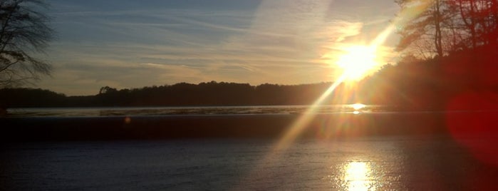 Lake Martin at Sweetwater Creek State Park is one of Lugares favoritos de Chester.