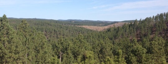 Black Hills National Forest is one of Road Trip NYC -> WA.