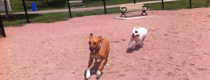 Sorauren Avenue Park is one of Toronto Off-Leash Dog Parks.