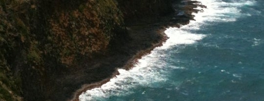 Kilauea Point National Wildlife Refuge is one of Kauai.