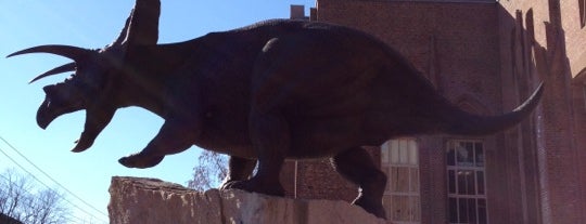 Peabody Museum of Natural History is one of ELS/New Haven.