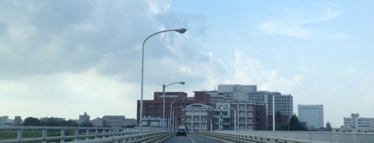 小森野橋 is one of 日本の名橋999選その１.