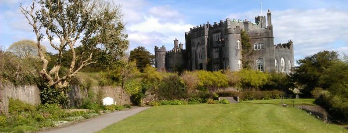 Birr Castle Demesne is one of Castles.