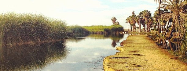Estuary, San Jose Del Cabo is one of Locais salvos de Jiordana.