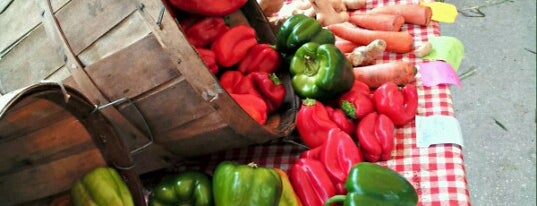 Orlando Farmer's Market is one of Orlando.