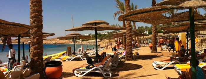 Beach at Continental Plaza Beach Resort is one of Posti che sono piaciuti a Марина.