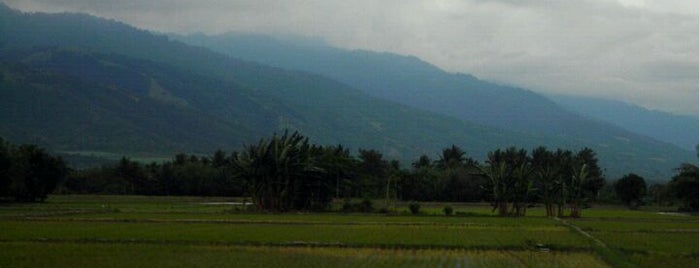 Sidondo Rice Fields is one of Outdoors PALU Sulawesi Tengah.