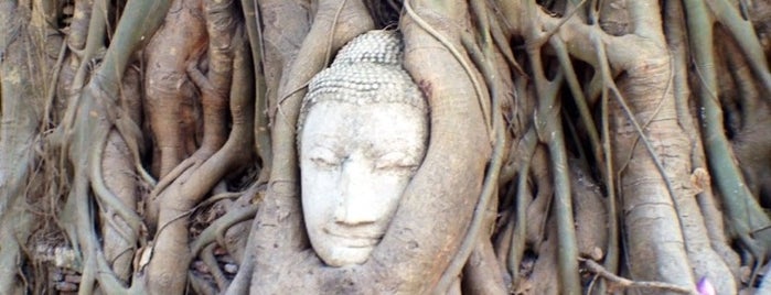 วัดมหาธาตุ is one of Temple in Thailand (วัดในไทย).