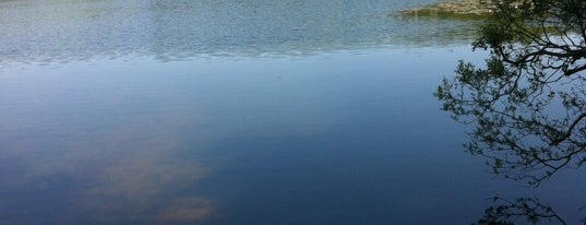 Miles/Icehouse Pond is one of David'in Beğendiği Mekanlar.