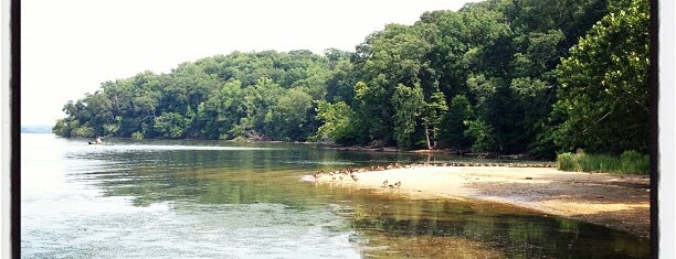 Mason Neck State Park is one of Checking Parks.