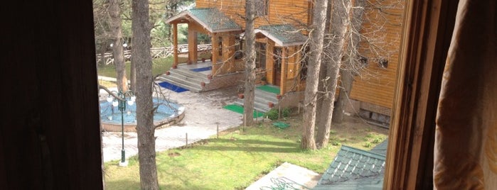 Grand Mumtaz is one of HOTELS AND RESTAURANTS IN KASHMIR VALLEY.