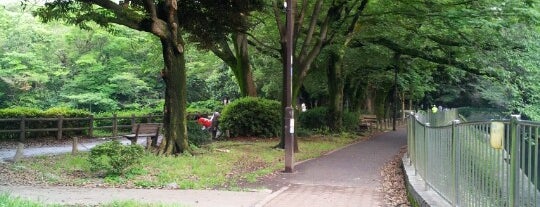 Wadabori Park is one of 東京都立の公園・庭園.