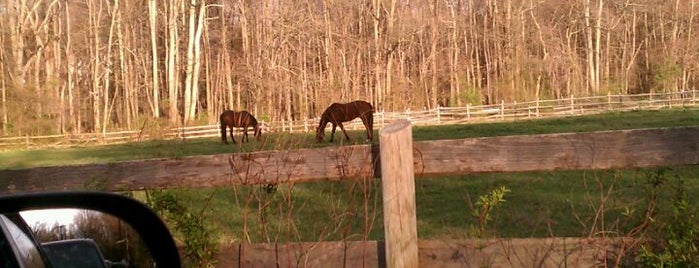 Woodyard Road is one of favorites.