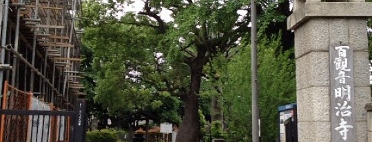 百観音明治寺 is one of 中野のおもいで.