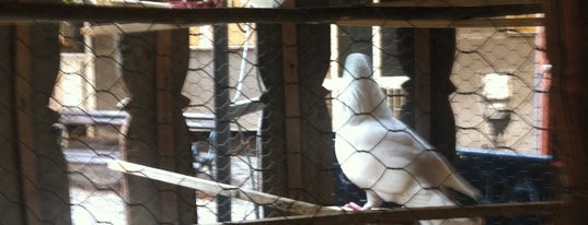 Dva bela goluba is one of Locais curtidos por Seniora.