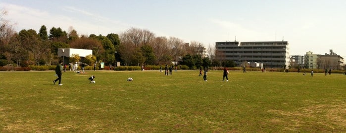 Heiwa no Mori Park is one of 中野のおもいで.