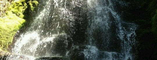 Wahkeena Falls is one of Tempat yang Disukai Marie.