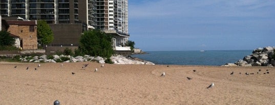 Lane Beach is one of Chicago Park District Beaches.