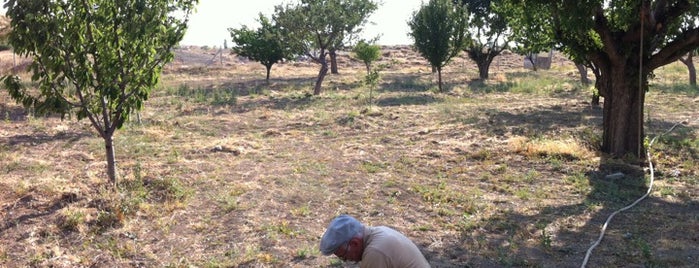 Yağlıpınar is one of Posti che sono piaciuti a Aydın.