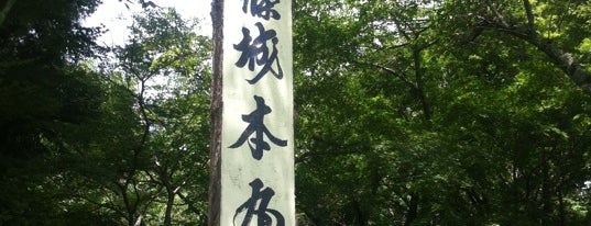 本丸跡 is one of 日本100名城.