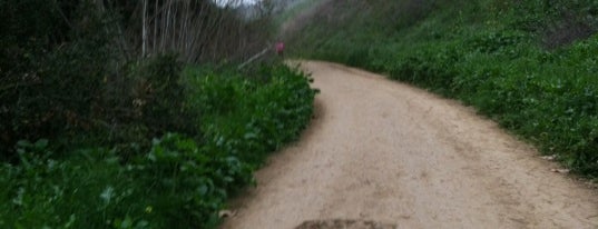 Turnbull Canyon Hiking Trail is one of Places to see in SoCal.