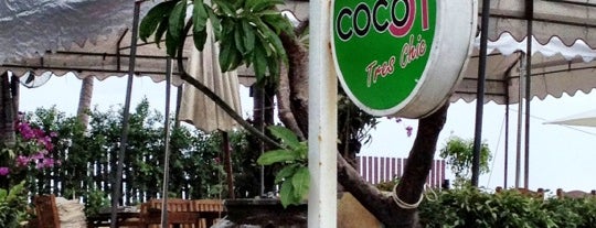 coco51 is one of ♫♪♪ Favorite Food ♪♫.