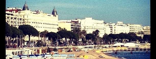 My Cannes