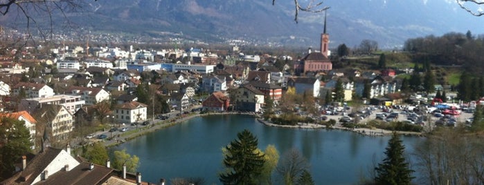 Werdenberger See is one of Orte, die Adrián gefallen.