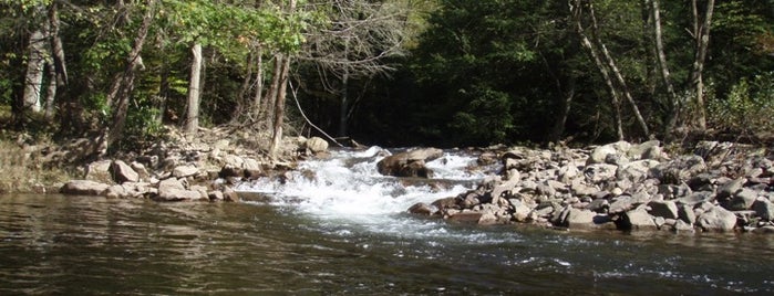 Lehigh Gorge State Park is one of Jim Thorpe,PA Hidden Gems #visitUS.