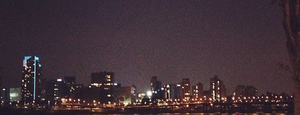 뚝섬한강공원 is one of Looking @ Skylines.