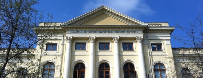 Muzeul Național de Istorie Naturală „Grigore Antipa” is one of #NoapteaMuzeelor 2014 - București.