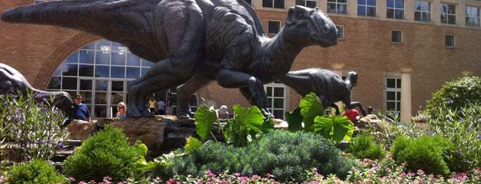 Fernbank Museum of Natural History is one of Atlanta.