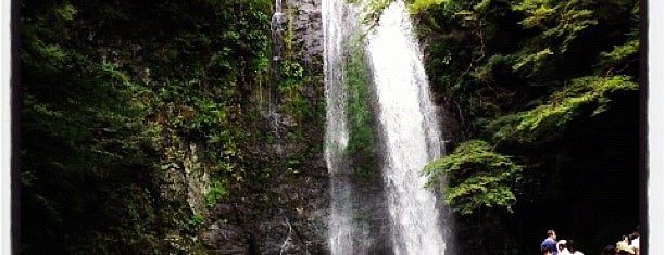 Mino Falls is one of 日本の滝百選.