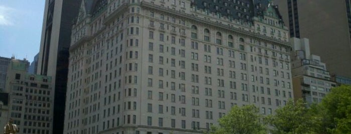プラザホテル is one of 101 places to see in Manhattan before you die.