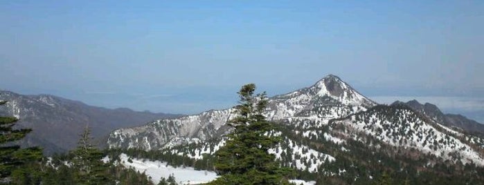 志賀高原 横手山・渋峠スキー場 横手山エリア is one of SHIGA KOGEN Ski Area.