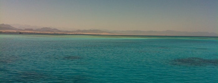 Red Sea is one of Sharm el Sheikh excursions, safaris, entertainment.