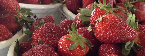 State Farmers Market is one of The 15 Best Places for Strawberries in Raleigh.