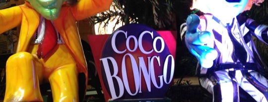 Coco Bongo is one of Directorio.
