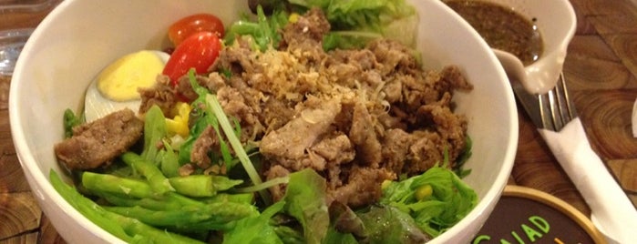 The Salad Concept is one of Chiang Mai 1　チェンマイその１.