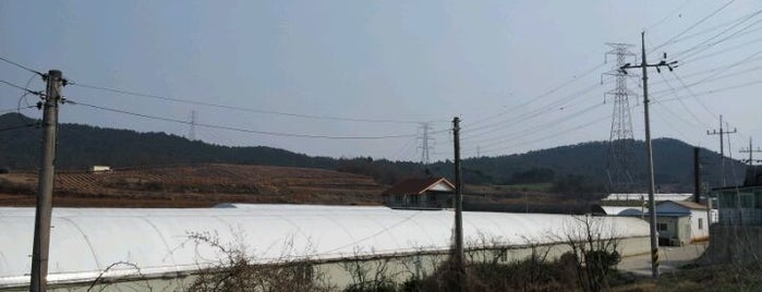 신계양만 is one of 수산분야(양식장,양만장) 지도.