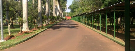 Museo de La Tierra Guarani is one of Lugares Turísticos del Paraguay.