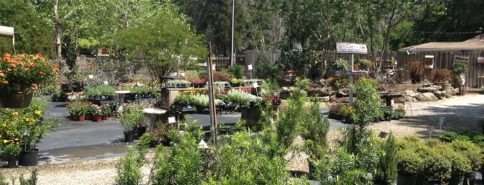 Hollie's Garden Center and Antiques is one of Churro’s Liked Places.