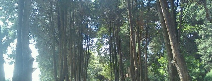 Parque Raul Seixas is one of Só no Rolê.