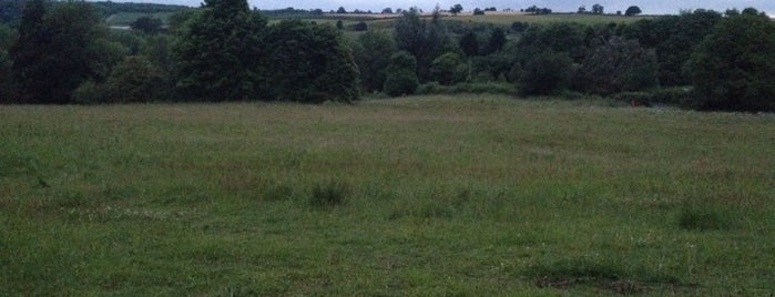 The Meadow is one of Lieux qui ont plu à Antonella.