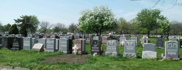 Resurrection Cemetery is one of Orte, die Lizzie gefallen.
